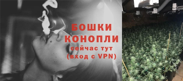сатива Осташков