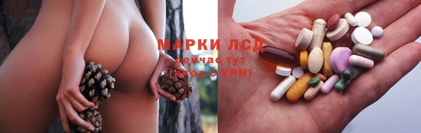 гидропоника Вязьма