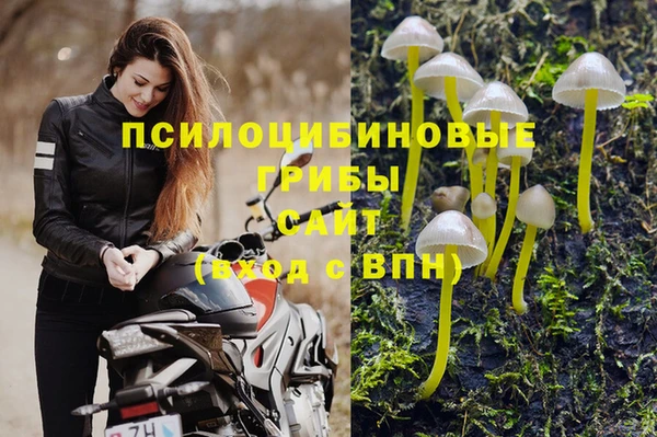 гидропоника Вязьма