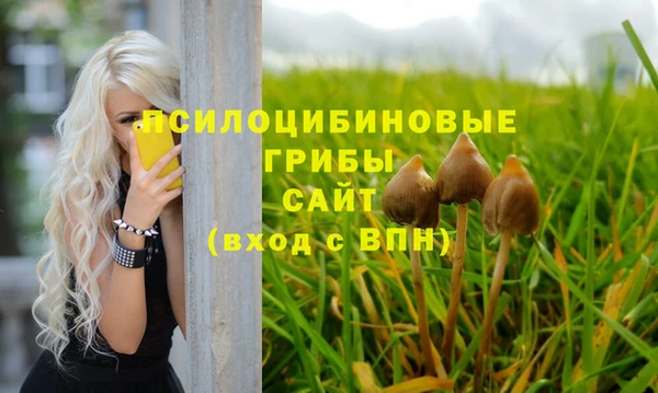 мескалин Вяземский