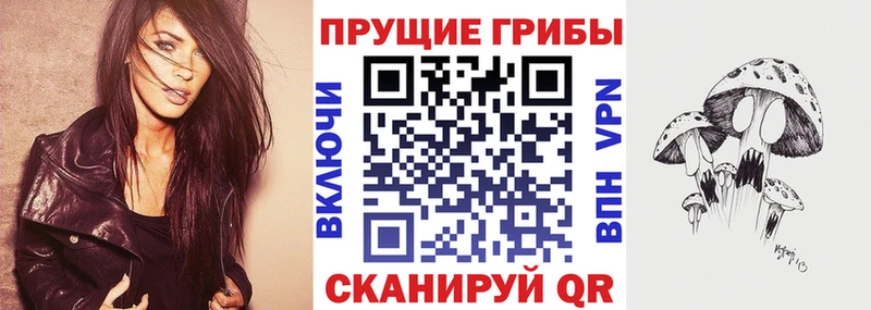 где продают   Елец  Галлюциногенные грибы мицелий 