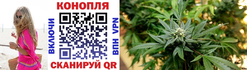 Бошки марихуана Amnesia Елец